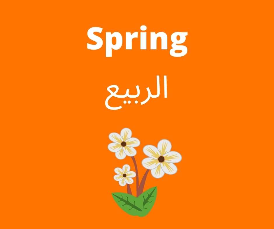 Spring - learn arabic with hamid (linguamid)