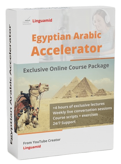 Egyptian Arabic Accelerator Linguamid