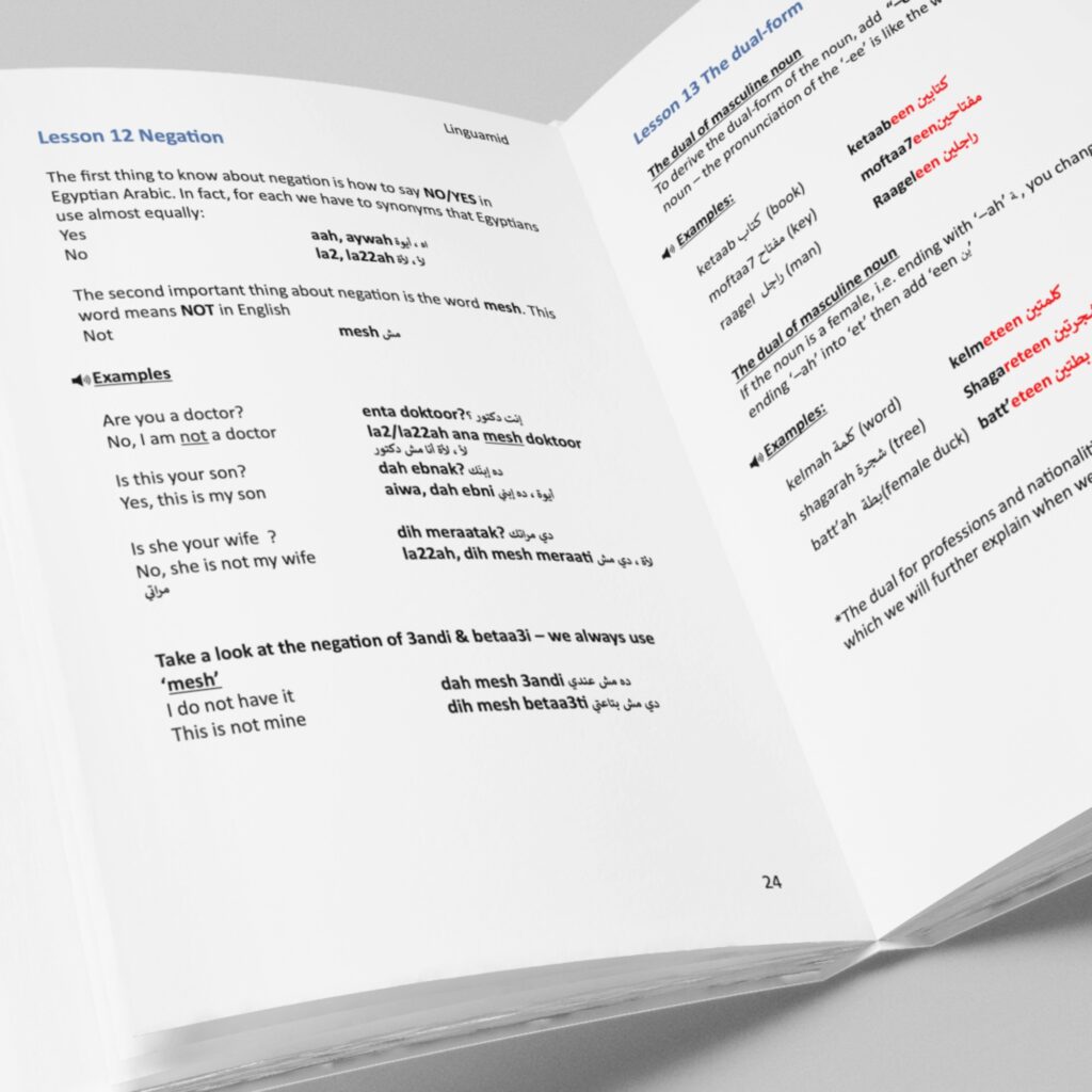 grammar for spoken Egyptian ebook from Linguamid